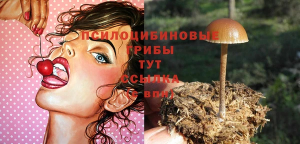2c-b Няндома