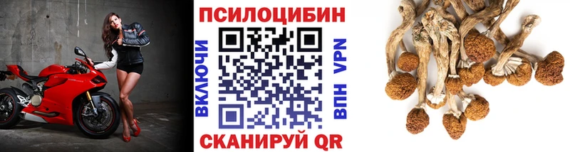 Галлюциногенные грибы ЛСД  даркнет сайт  KRAKEN рабочий сайт  Пойковский 